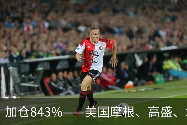 加仓843%——美国摩根、高盛、北向锁定国资委唯一亲儿子，芯片唯一低估真龙藏不住了？